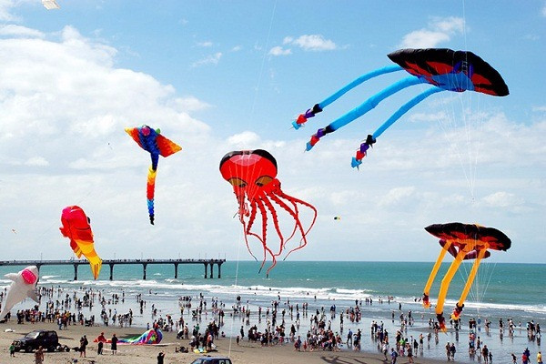 2017年广义省海洋海岛文化周举行在即 ảnh 1 2017年广义省海洋海岛文化周举行在即 ảnh 1