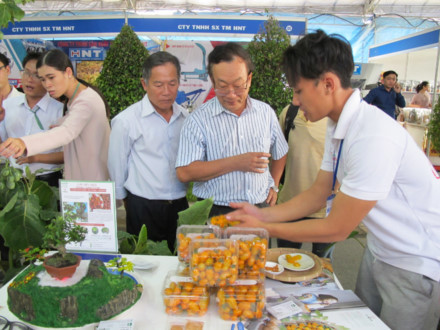 第五届胡志明市农业种子展销会为各企业等创造交流平台 ảnh 2