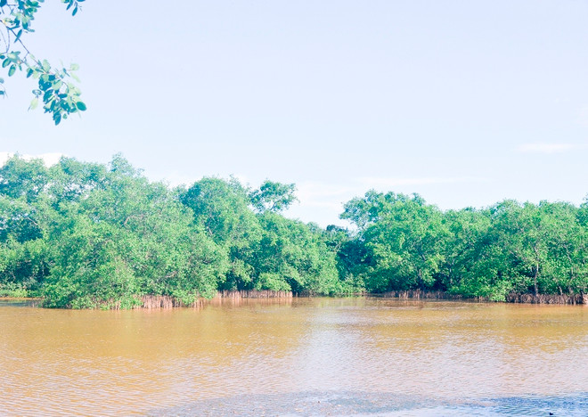 越南海洋海岛:保护广治省海边堤坝系统 ảnh 1 越南海洋海岛:保护广治省海边堤坝系统 ảnh 1