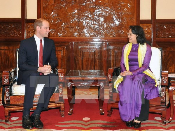 越南国家副主席邓氏玉盛会见英国剑桥公爵 ảnh 1 越南国家副主席邓氏玉盛会见英国剑桥公爵 ảnh 1