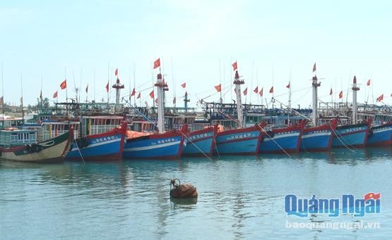 广义省渔民生计面临困难 ảnh 1 广义省渔民生计面临困难 ảnh 1