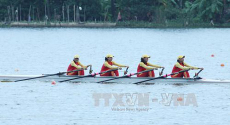 2016年东南亚划船锦标赛:越南队夺冠 ảnh 1 2016年东南亚划船锦标赛:越南队夺冠 ảnh 1