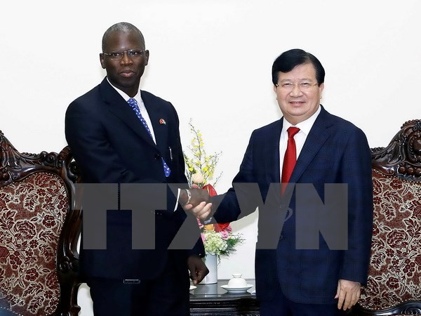 越南政府副总理郑廷勇会见世行驻越南首席代表 ảnh 1 越南政府副总理郑廷勇会见世行驻越南首席代表 ảnh 1