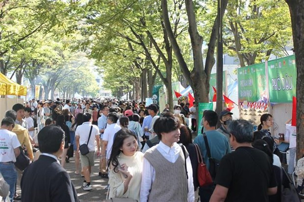 越日关系在各领域呈现良好发展势头 ảnh 3