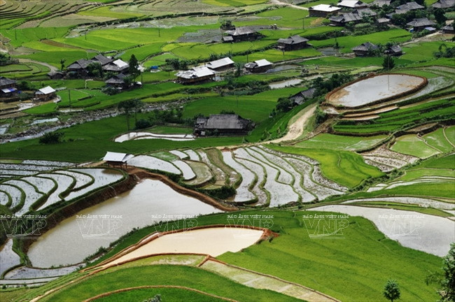 越南：木岗寨梯田美景 ảnh 4