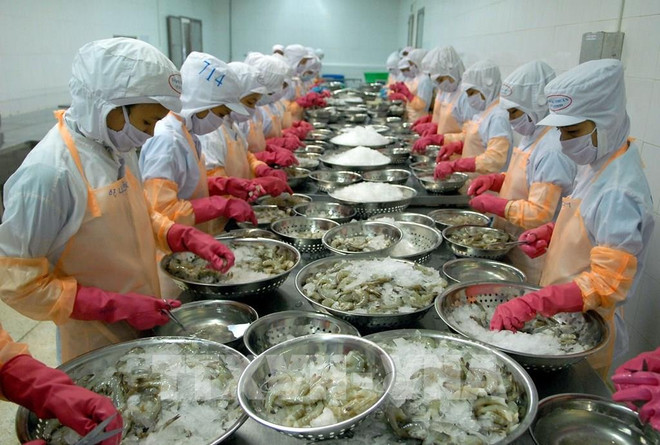 2020年越南经济:齐心协力为经济增长打上新烙印 ảnh 2 2020年越南经济:齐心协力为经济增长打上新烙印 ảnh 2