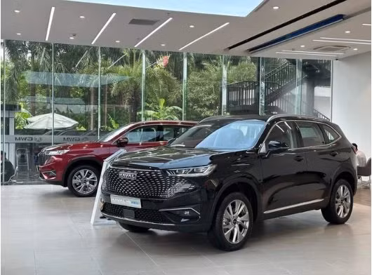 2024年汽车市场：汽车电动化和中国品牌的进军趋势 ảnh 2