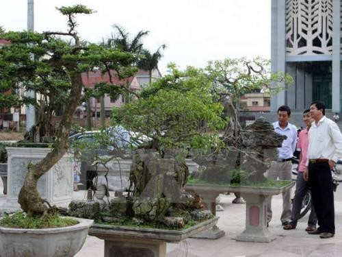 越南首都河内首次举行观赏生物节 ảnh 1 越南首都河内首次举行观赏生物节 ảnh 1