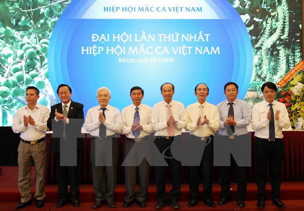 越南坚果协会亮相 ảnh 1 越南坚果协会亮相 ảnh 1