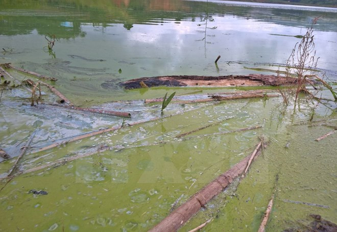 亚洲城市发展中心协助芹苴市处理水污染 ảnh 1 亚洲城市发展中心协助芹苴市处理水污染 ảnh 1