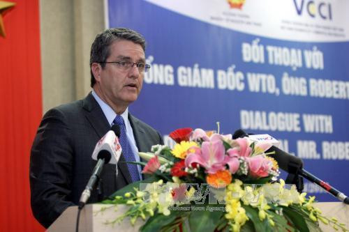 世贸组织总干事：越南充分利用入世机遇 ảnh 1