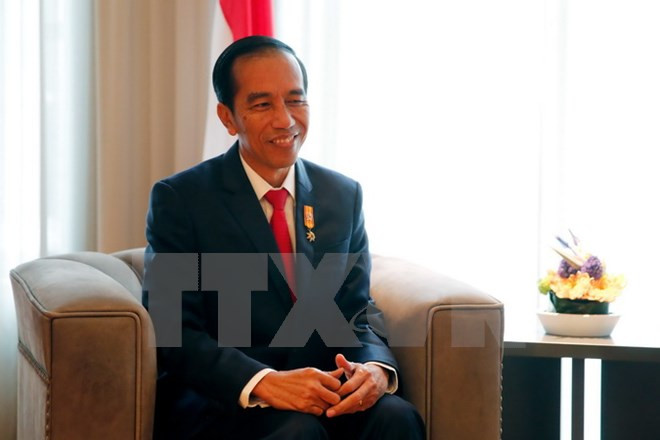 印度尼西亚成立危机处理中心 ảnh 1