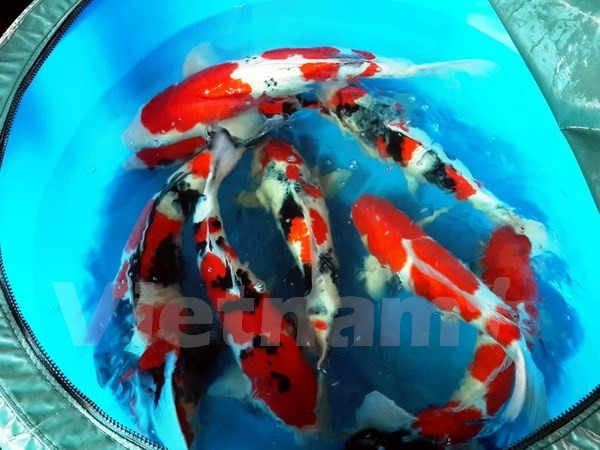 越南永隆省与以色列达甘集团加强高科技农业的合作 ảnh 1 越南永隆省与以色列达甘集团加强高科技农业的合作 ảnh 1