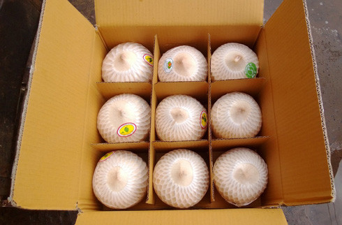 中国是越南椰子的主要出口市场 ảnh 1 中国是越南椰子的主要出口市场 ảnh 1