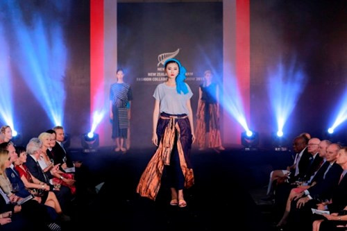 越南与新西兰加强文化交流 ảnh 3