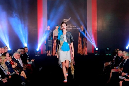 越南与新西兰加强文化交流 ảnh 4