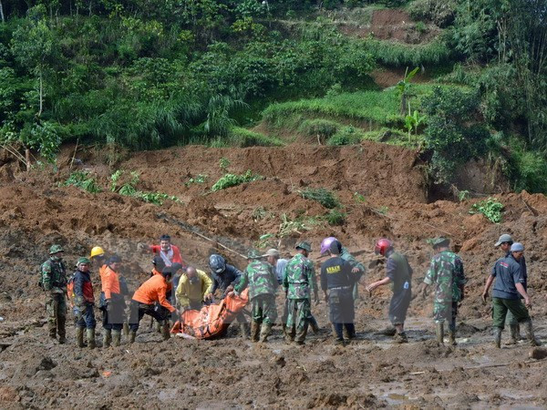 亚洲多国暴雨洪水形势复杂多变 ảnh 1 亚洲多国暴雨洪水形势复杂多变 ảnh 1