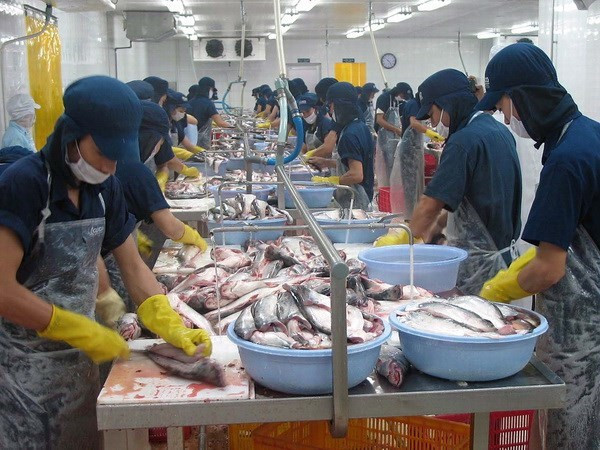 越南政府办公厅主任阮文年:越南经济保持良好增长势头 ảnh 1 越南政府办公厅主任阮文年:越南经济保持良好增长势头 ảnh 1