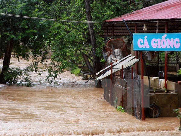 越南北部各省连日暴雨造成12人死亡和受伤 ảnh 1 越南北部各省连日暴雨造成12人死亡和受伤 ảnh 1