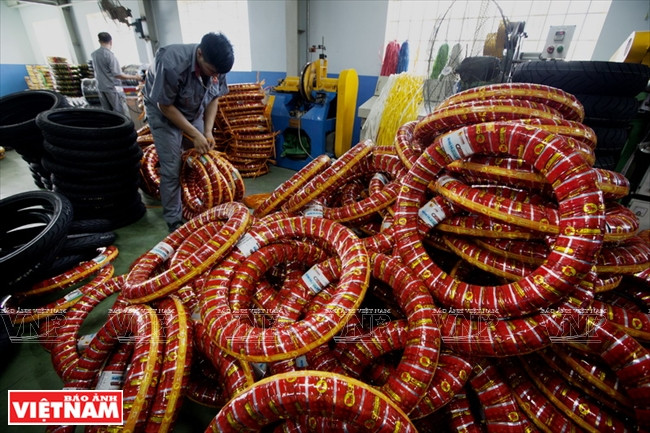 东南亚一流轮胎厂家Casumina ảnh 9