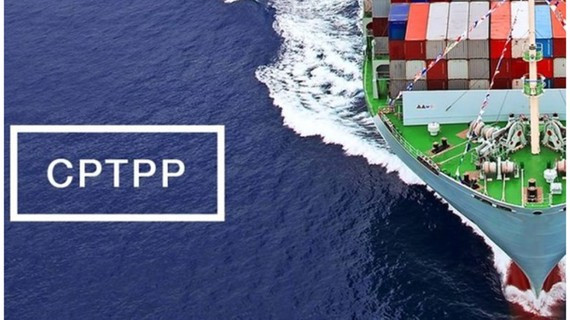 马来西亚政府批准CPTPP ảnh 1 马来西亚政府批准CPTPP ảnh 1