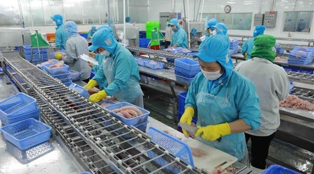 澳大利亚专家对越南经济发展前景作出积极的评价 ảnh 2 澳大利亚专家对越南经济发展前景作出积极的评价 ảnh 2
