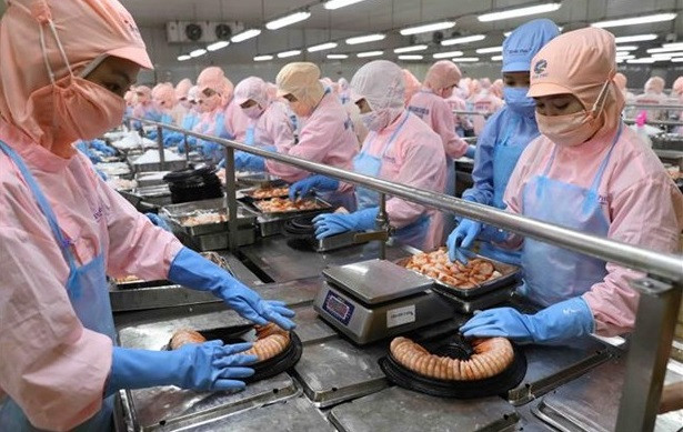 越南与德国的合作空间广阔 ảnh 1 越南与德国的合作空间广阔 ảnh 1