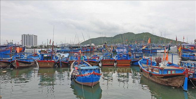 解除IUU“黄牌警告”:尽快完善水产品原产地可追溯性档案 ảnh 1 解除IUU“黄牌警告”:尽快完善水产品原产地可追溯性档案 ảnh 1