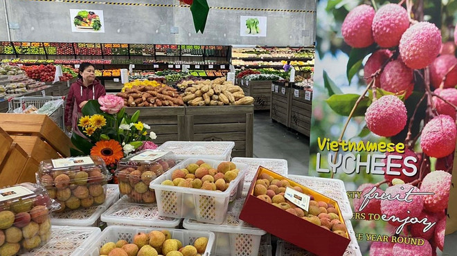 2022年前8个月越南对澳大利亚的出口额同比增长42% ảnh 1