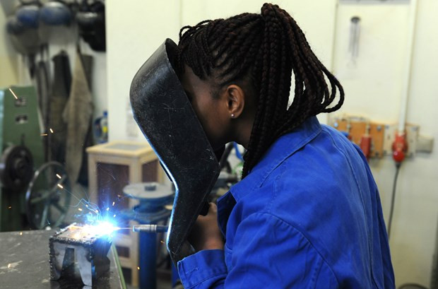 德国拟扩大接受越南技能劳动者 ảnh 2 德国拟扩大接受越南技能劳动者 ảnh 2