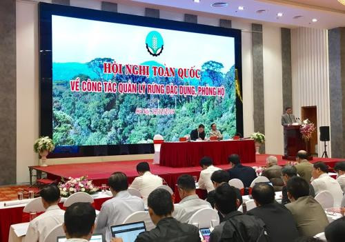 特用林和防护林是可持续发展的核心 ảnh 1 特用林和防护林是可持续发展的核心 ảnh 1