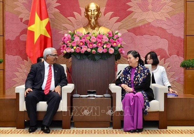 越南国会常务副主席丛氏放会见古巴司法部代表团 ảnh 1