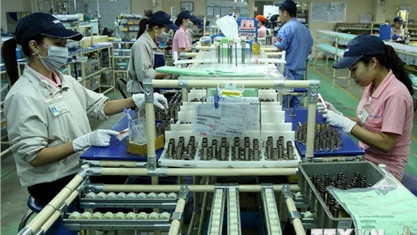 茶荣省力争实现在2021-2025年阶段引进外资达11亿美元 ảnh 2 茶荣省力争实现在2021-2025年阶段引进外资达11亿美元 ảnh 2