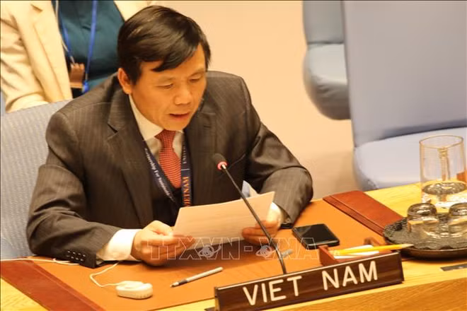 越南发布联合国安理会非常任理事国任期的优先事项 ảnh 1