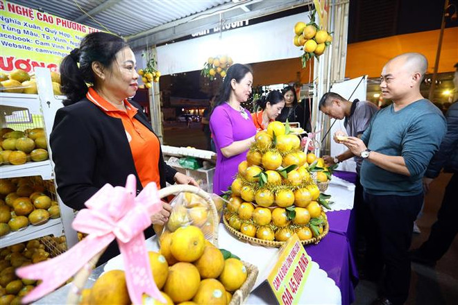 “2019年荣市甜橙和乂安省土特产周”活动在河内正式开幕 ảnh 2 “2019年荣市甜橙和乂安省土特产周”活动在河内正式开幕 ảnh 2