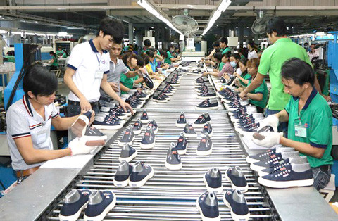 皮革制鞋业日益肯定其在国民经济中的重要作用 ảnh 2