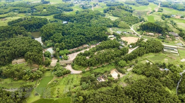 英国承诺支持越南履行COP26承诺 ảnh 2