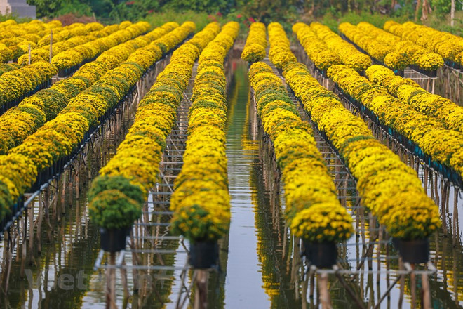 同塔省重点发展环境友好型旅游项目 ảnh 3