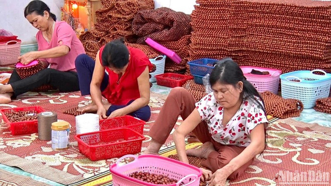 为宁平省山区的残疾人提供生计援助 ảnh 2 为宁平省山区的残疾人提供生计援助 ảnh 2