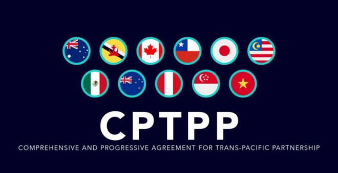 泰国为加入CPTPP谈判进程做好准备 ảnh 1 泰国为加入CPTPP谈判进程做好准备 ảnh 1