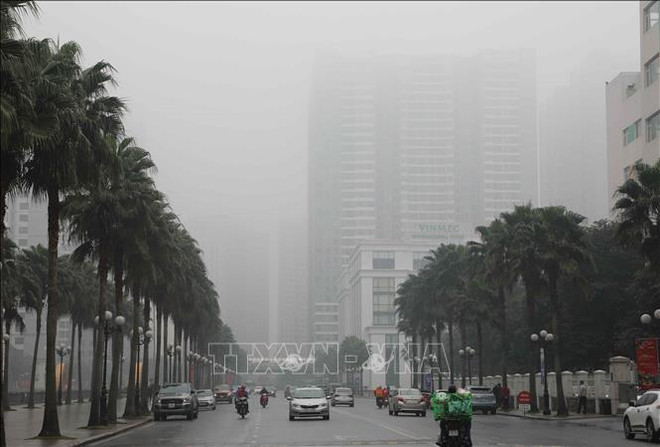 加强空气污染管控切实改善城市空气质量 ảnh 1