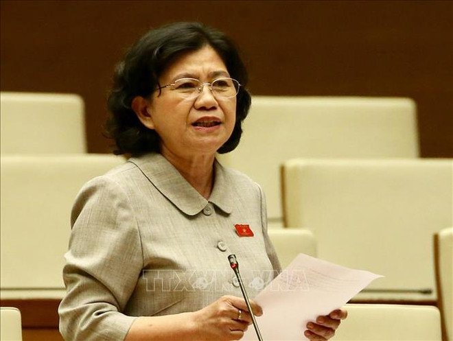 越南第十四届国会第九次会议：讨论试点组织岘港市城市政府模式的决议草案 ảnh 1