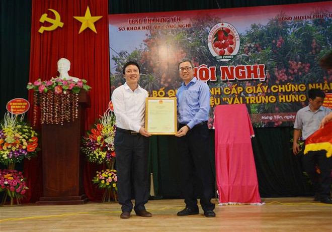 兴安省“鸡蛋型荔枝”品牌对外公布 ảnh 1 兴安省“鸡蛋型荔枝”品牌对外公布 ảnh 1