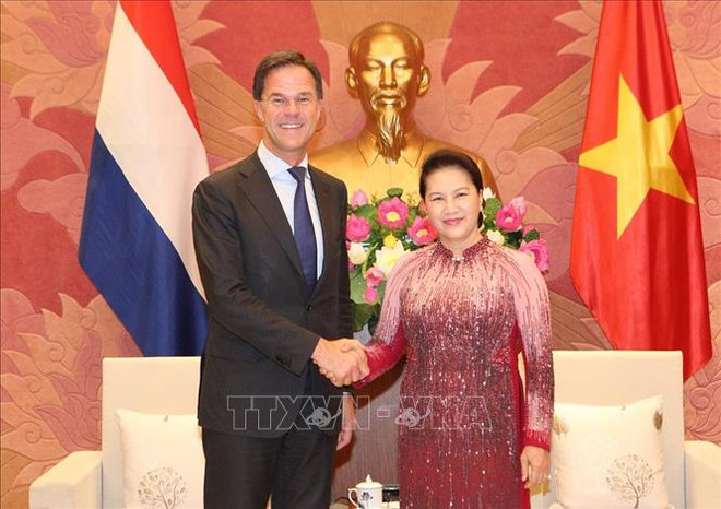 越南国会主席阮氏金银会见荷兰首相马克·吕特 ảnh 1 越南国会主席阮氏金银会见荷兰首相马克·吕特 ảnh 1