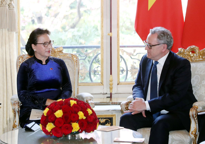 越南国会主席阮氏金银同法国国民议会议长举行会谈 ảnh 2 越南国会主席阮氏金银同法国国民议会议长举行会谈 ảnh 2