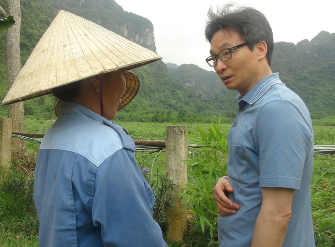 政府副总理武德儋赴广平省调研 ảnh 2