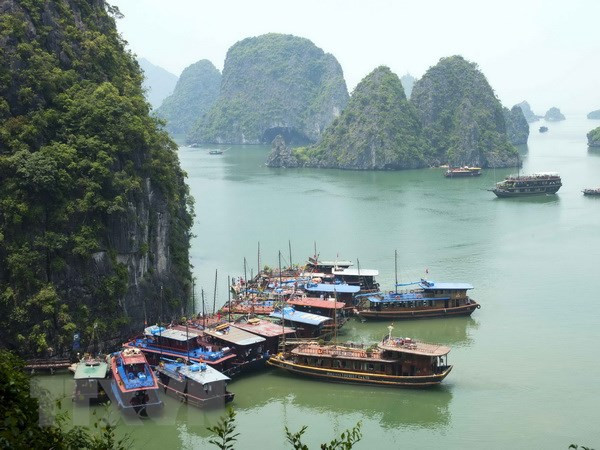 越南下龙湾跻身世界最美自然奇观 ảnh 1 越南下龙湾跻身世界最美自然奇观 ảnh 1