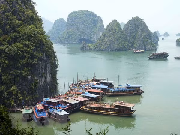 越南下龙湾跻身世界最美自然奇观 ảnh 1