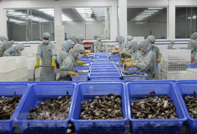 越南虾类产品对日本出口恢复增长 ảnh 2 越南虾类产品对日本出口恢复增长 ảnh 2