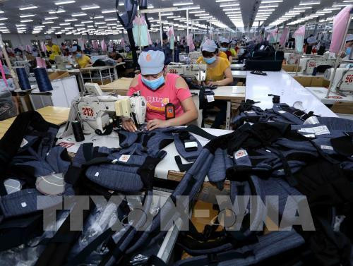 今年第一季度同奈省实现贸易顺差6.9亿美元 ảnh 1